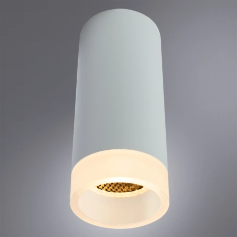 Накладной точечный светильник Arte Lamp Ogma A5556PL-1WH (220V, круглые)
