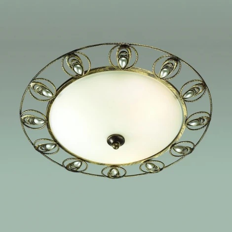 Настенно-потолочный светильник Odeon Light Kanti 3484/3C
