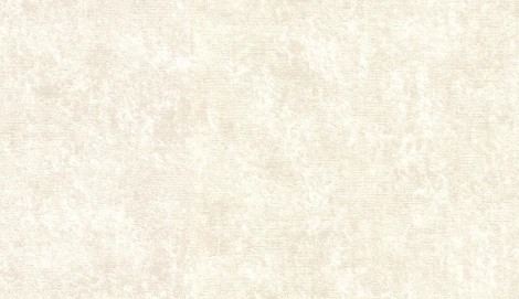 Обои виниловые Marburg Padua Classic 57324 10,05 x 1,06 м