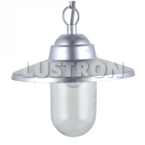 Уличный светильник подвесной Arte Lamp Portico A1551SO-1SS