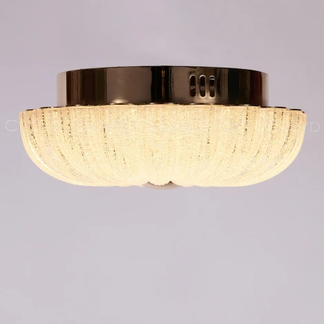 Потолочный светильник круглый светодиодный Cloyd Dessa 10371 (220V, круглые)