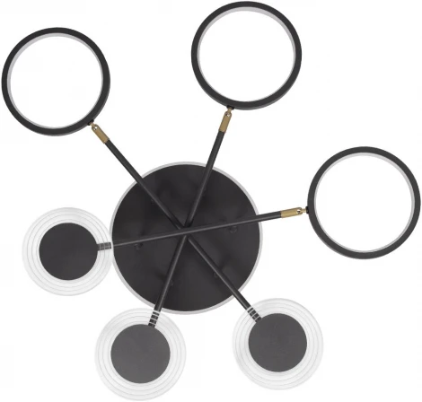 Потолочная люстра на штанге Megan 10164S Black (LED, 220V, круглые, кольцо)