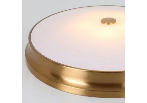 Потолочный светильник круглый Favourite Pannikin 2375-5C (220V, круглые)