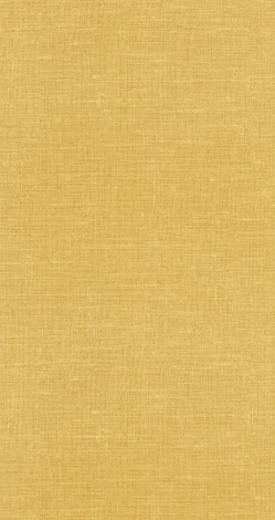 Обои (Sejours & Chambres) (1*12) 10,05x0,53 винил на флизелине Lutece Sejours &amp 51195402