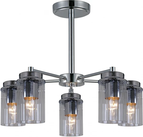 Потолочная люстра на штанге Reluce 74663-0.3-05 (220V)