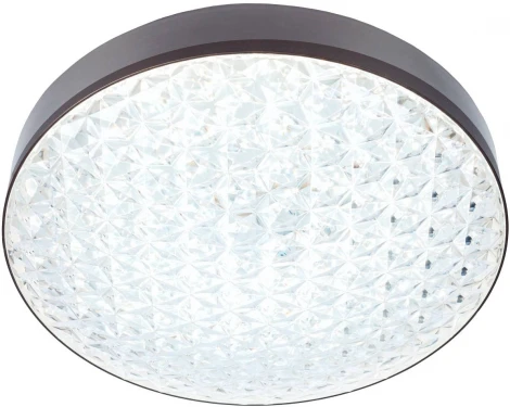 Настенно-потолочный светильник Мелодия Света CW1L 000024758