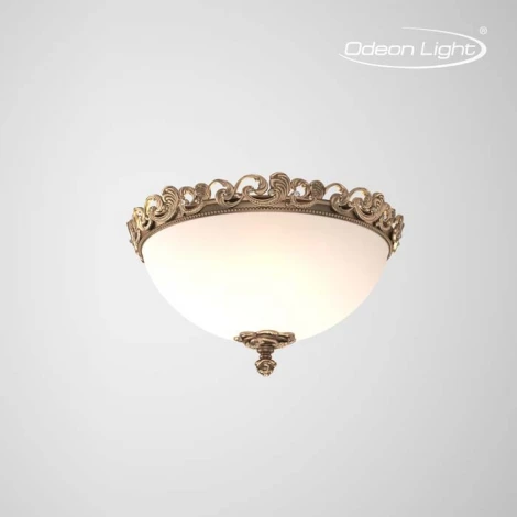 Потолочный светильник Odeon Light Ponga 2431/3C