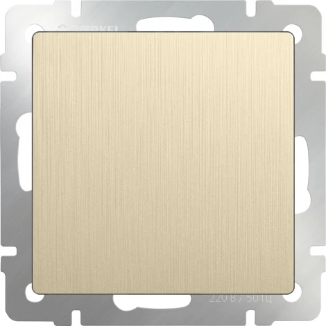 Заглушка (шампань рифленый) Werkel W1159210 (a051417)