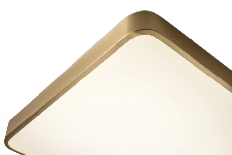 Потолочный светильник Zortes Monna ZRS.1209.03 (LED, 220V)