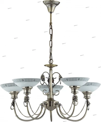 Подвесная люстра Odeon Light Rene 3213/5