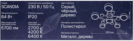 Потолочная люстра светодиодная на штанге с ДУ Ritter Scandia 52079 5