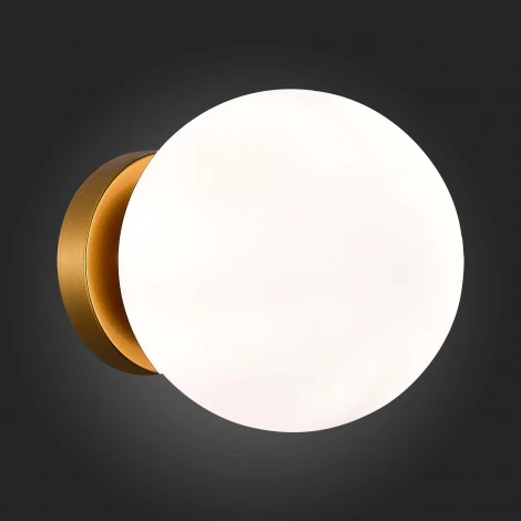 Настенно-потолочный светильник Acini SL717.201.01 Evoluce