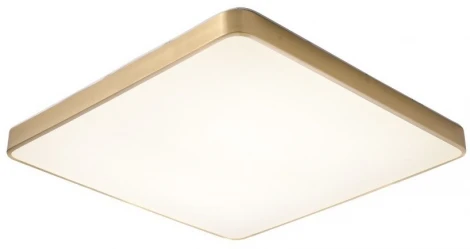 Потолочный светильник Zortes Monna ZRS.1209.07 (LED, 220V)