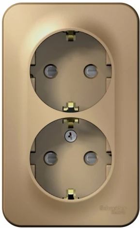 Розетка накладная двойная с заземлением и шторками (титан) Systeme Electric Blanca BLNRA011214