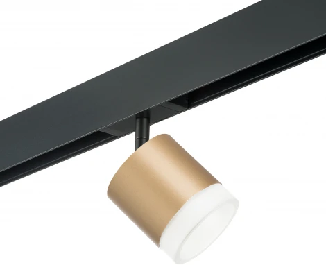 Трековый светильник Lightstar Rullo для трека PRO Rullo PRO349080 (220V)