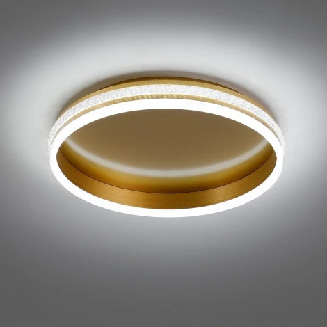 Потолочный светильник круглый Feron Shinning ring 41694 (LED, 220V, круглые)