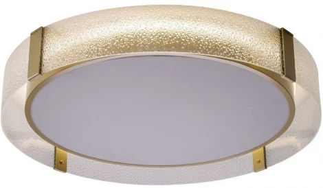 Потолочный светильник круглый Zortes Gerda ZRS.1097.60 (LED, 220V, круглые)