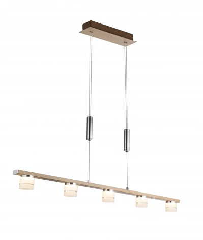 Подвесной светильник Globo Alonis 56000-5H