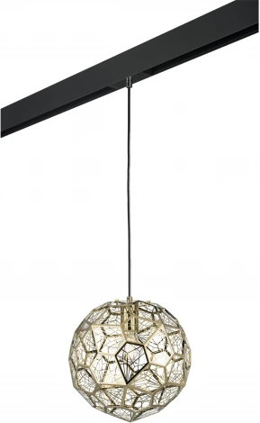 Трековый светильник однофазный 220V Lightstar Fermo PRO724012 (шар)