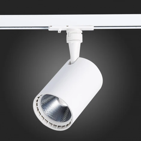 Трековый светильник ST Luce Cami ST351.546.15.24 (LED, 220V, круглые, IP22)