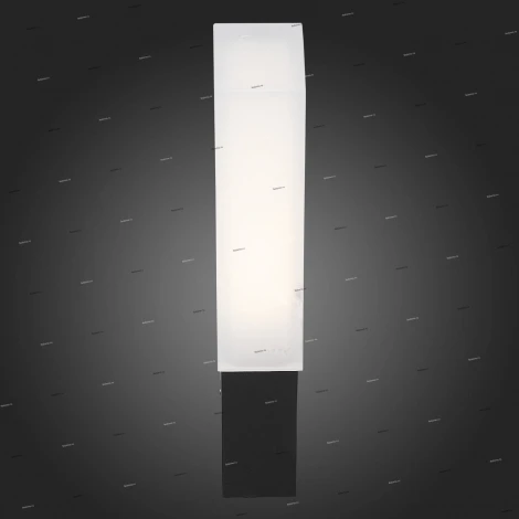 Настенный светильник уличный ST Luce Posto SL096.411.02 (LED, 220V, факел, IP54)