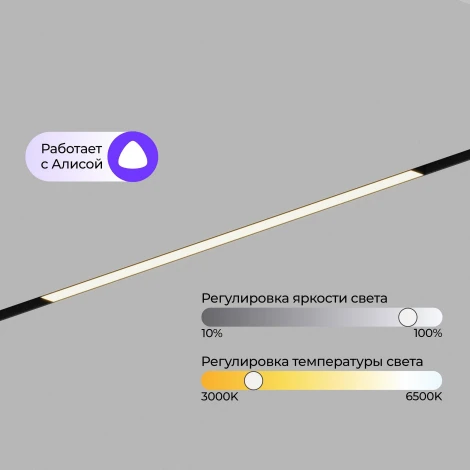 Трековый светильник магнитный светодиодный 48V 24W Hesby Lighting ElDeko HSBL_0237