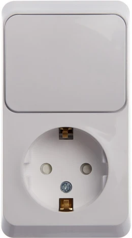 Розетка накладная с заземлением с одноклавишным выключателем (белый) Systeme Electric BPA16-201B