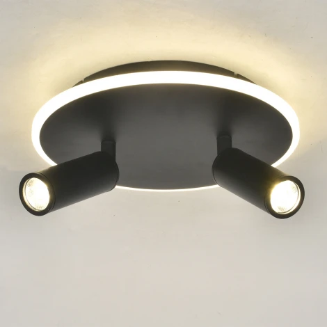 Настенно-потолочный светодиодный светильник 20046LED 20046SMA/02LED BK 28Вт, металл/акрил, черный