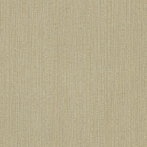 Обои виниловые Rasch Maximum XIV 949445 10 x 1,06 м