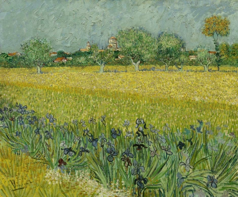 Панно BN International Van Gogh BN 30543 2,7 x 3,25 м