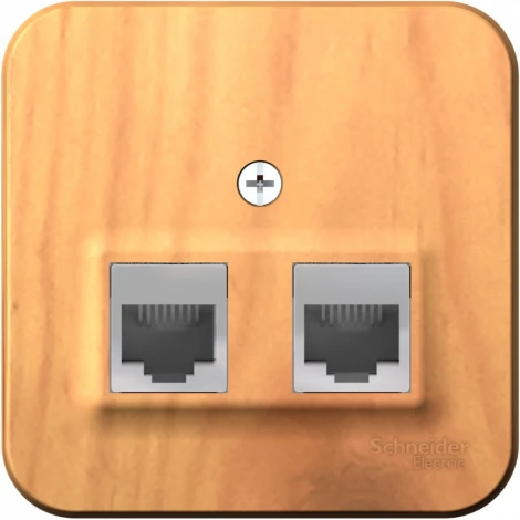 Розетка накладная двойная Ethernet RJ-45 (ясень) Systeme Electric Blanca BLNIA045455