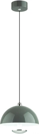 Подвесной светильник Lumion Globe 6569/6L LEDIO белый/серый, хром/металл, акрил 3000-6000K LED 6W 220V (сенсорный выключатель, на проводе)