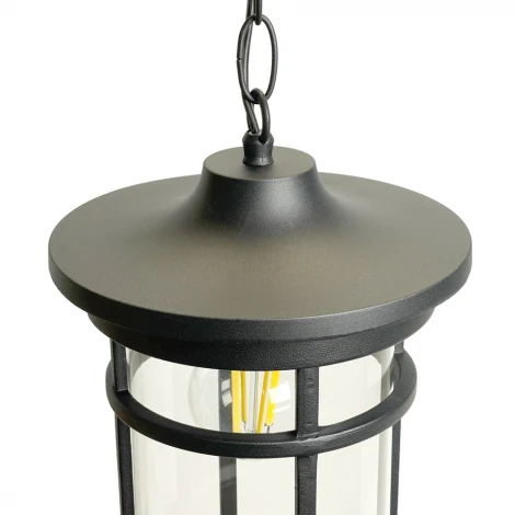 Уличный светильник подвесной Feron Турин 51819