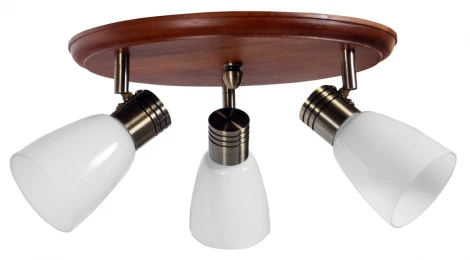 Спот Дубравия Анри 150-71-13