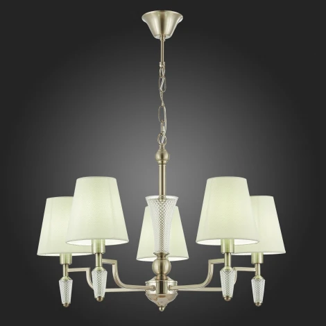 Подвесная люстра Evoluce Reimo SLE105503-05