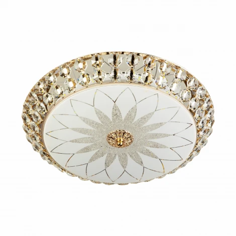 Потолочный светильник светодиодный с пультом с регулировкой цветовой температуры и яркости LED4U LED4U L1111-500 GD