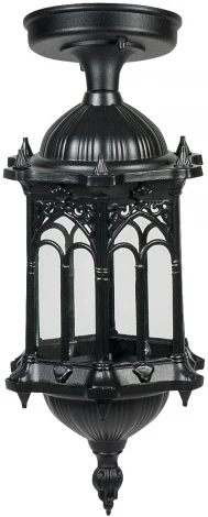 Потолочный светильник уличный Oasis Light DELI S 89905SA Bl