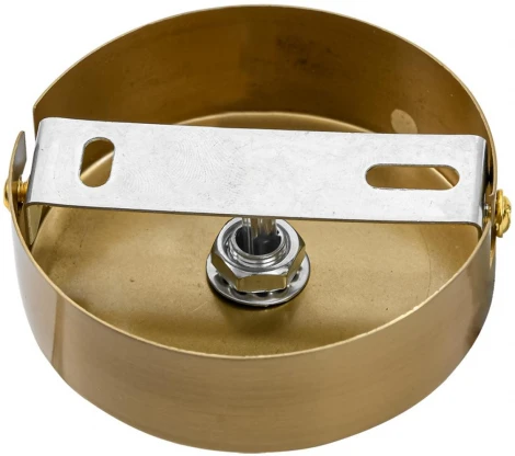 Подвесной светильник Lumion Denver 8276/1A латунь/прозрачный, металл/стекло Е14 1*40W 220V (на проводе)