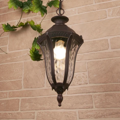 Уличный подвесной светильник 1010H Elektrostandard Draco GL a043120