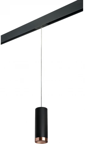 Трековый светильник однофазный 220V Lightstar Rullo PRORP487430 (круглые)