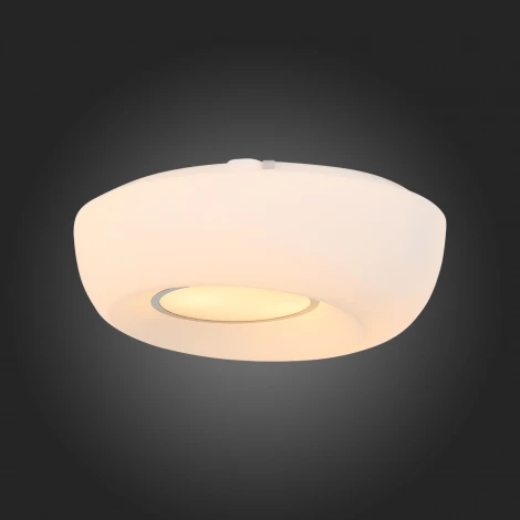 Настенно-потолочный светильник ST Luce Botone SL467.502.02