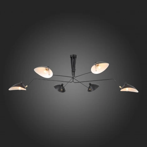 Потолочная люстра ST Luce Spruzzo SL305.402.06 (220V)