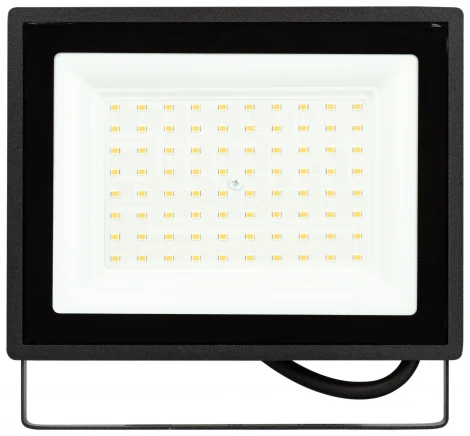 Прожектор уличный светодиодный ЭРА LPR-02 LPR-023-0-40K-070