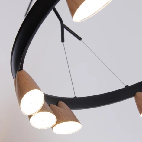 Подвесной светильник Favourite Interline 4266-21P (LED, 220V, на тросе)