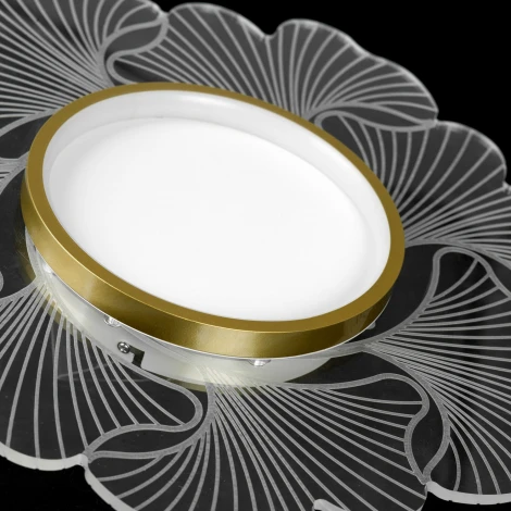 Потолочная люстра светодиодная Lussole Benton LSP-7340 (220V, круглые)