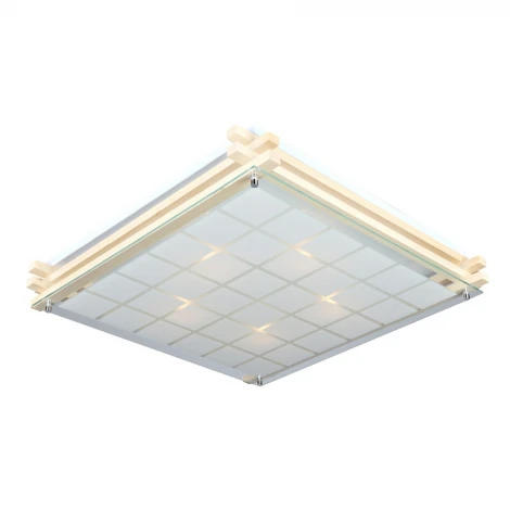 Потолочный светильник Omnilux Carvalhos OML-40517-05 (220V)