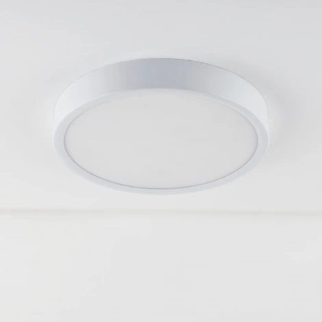 Потолочный светильник круглый Elektrostandard DLR020-DLS020 DLR034 18W 4200K (LED, 220V, круглые)