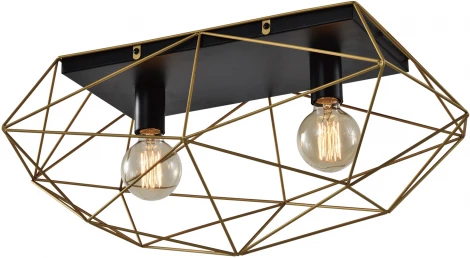 Светильник потолочный Roxana 4097-312 2 х Е27 40 Вт