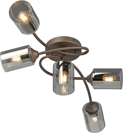 Потолочная люстра Vitaluce V2048-7/5PL (220V)