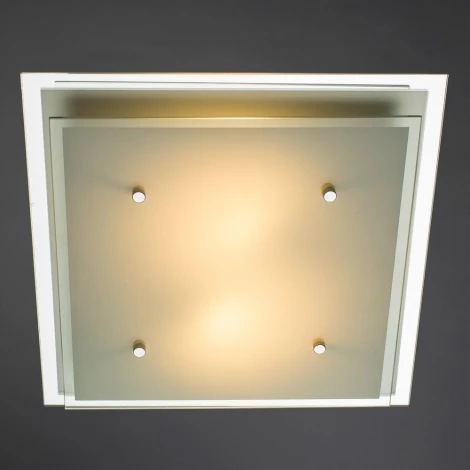 Потолочный светильник Arte Lamp Rapunzel A4868PL-2CC